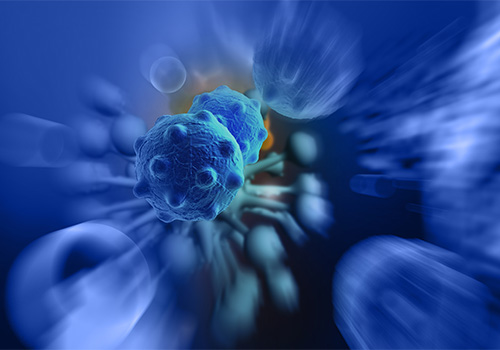 科普丨NK细胞已经成为癌症免疫治疗的主要靶点