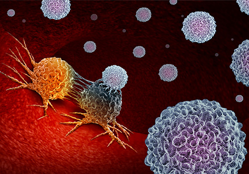 科普丨NK细胞已经成为癌症免疫治疗的主要靶点